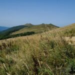 Domki w Bieszczadach: Raj dla miłośników przyrody i spokoju
