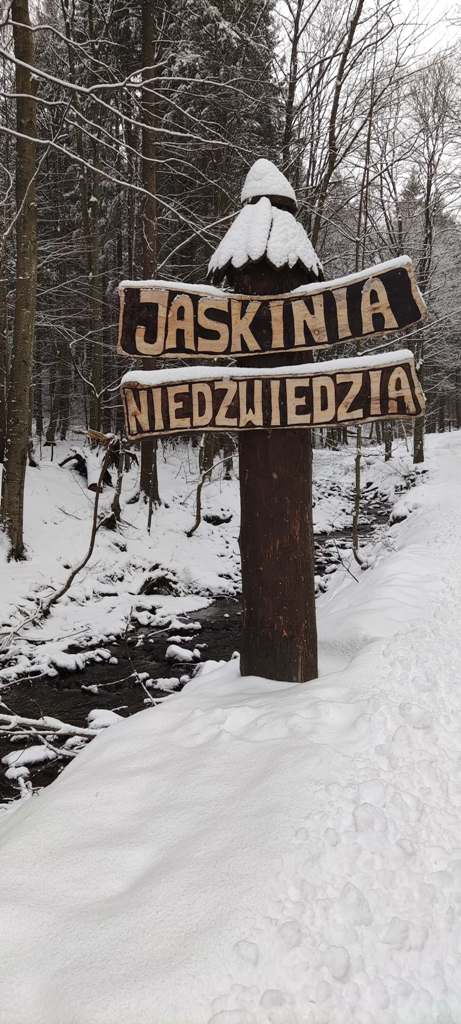 jaskinia-niedzwiedzia